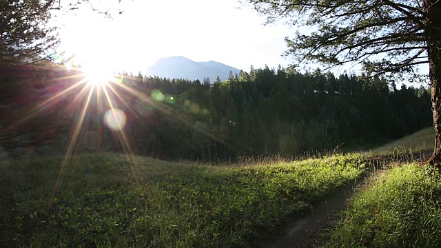 骑山地自行车的人沿着小路穿过草地，望向群山和森林视频素材