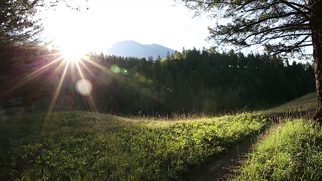 骑山地自行车的人沿着小路穿过草地，望向群山和森林视频素材