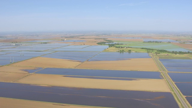 WS AERIAL POV水稻田和加州景观视频素材