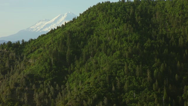 WS AERIAL POV绿色丘陵和沙斯塔山的背景在加利福尼亚视频素材