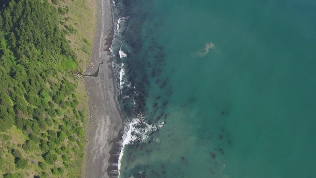 WS AERIAL POV在失落海岸的青山和海岸线，加利福尼亚视频素材