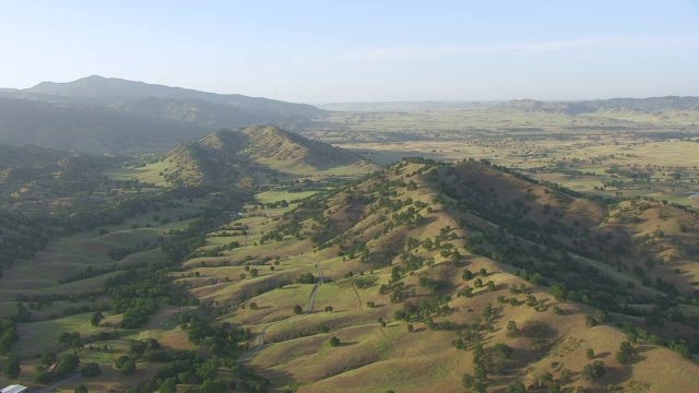 WS AERIAL POV绿色门多西诺山麓和森林在门多西诺国家森林，加利福尼亚州视频素材