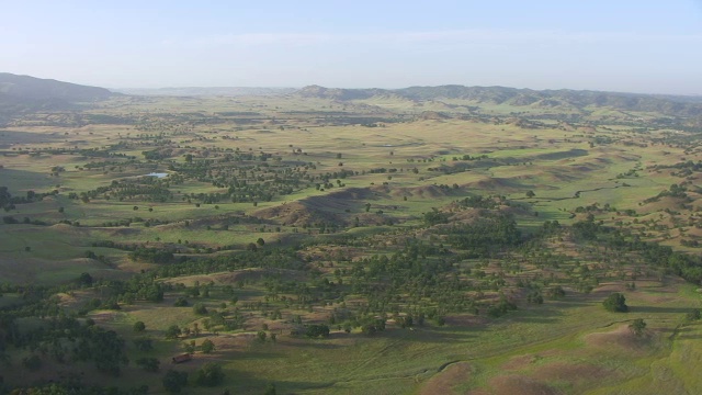 WS AERIAL POV绿色门多西诺山麓和森林在门多西诺国家森林，加利福尼亚州视频素材