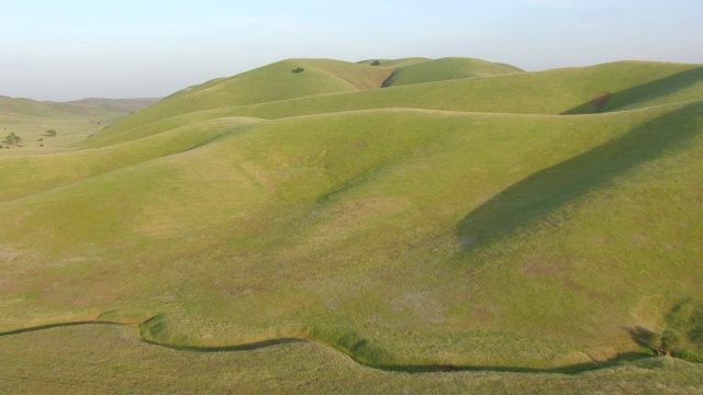 WS AERIAL POV绿色景观与门多西诺山在日落在门多西诺国家森林，加利福尼亚州视频素材