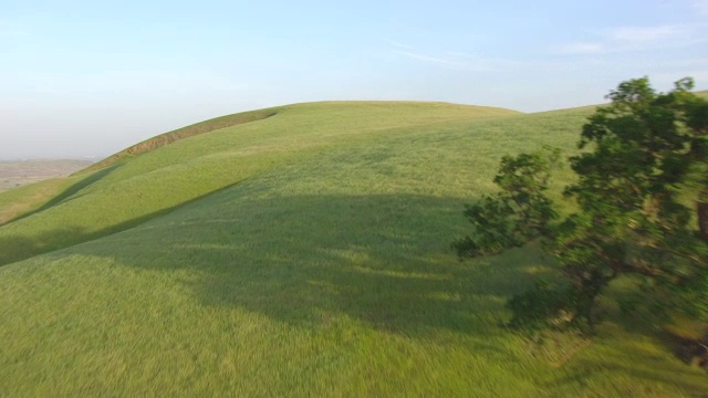 WS AERIAL POV绿色景观与门多西诺山在日落在门多西诺国家森林，加利福尼亚州视频素材