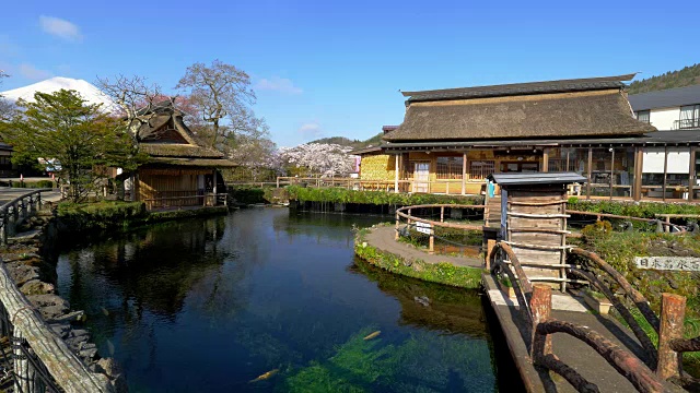 大野白海的清水视频素材