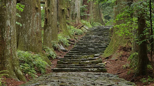 熊野古道（世界遗产）视频素材