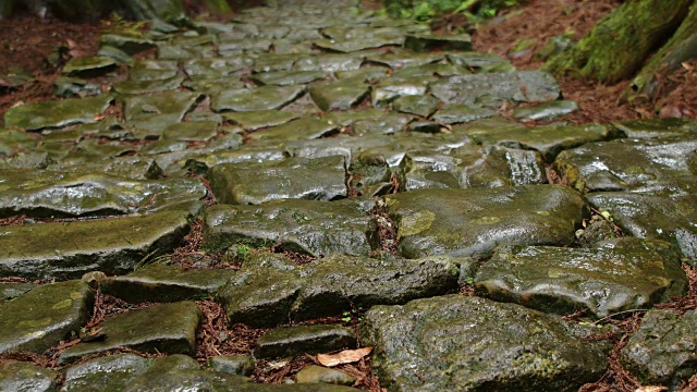 熊野古道（世界遗产）视频素材