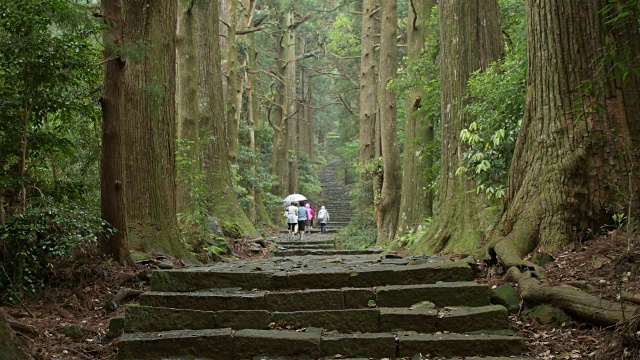 熊野古道（世界遗产）视频素材