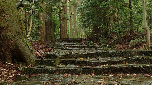 熊野古道（世界遗产）视频素材