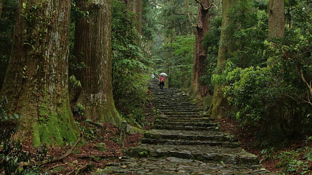 熊野古道（世界遗产）视频素材