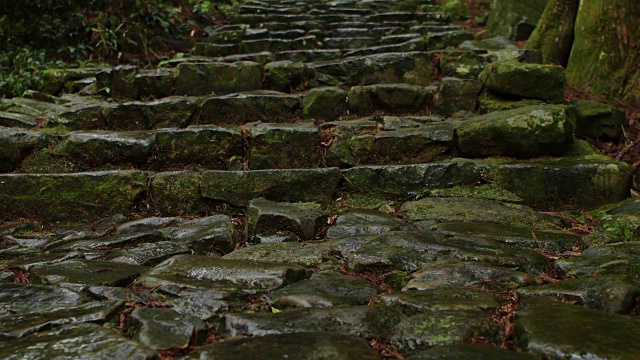 熊野古道（世界遗产）视频素材