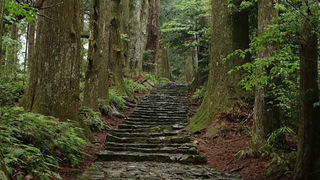 熊野古道（世界遗产）视频素材