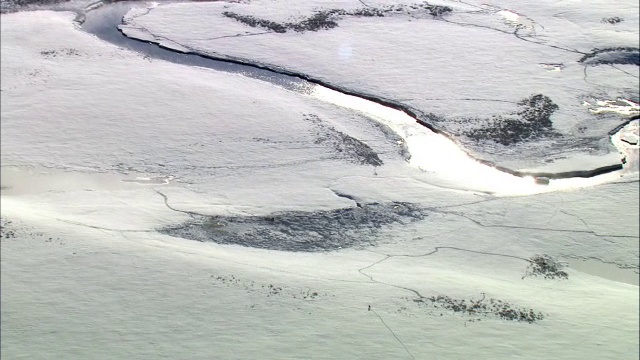 美国黄石公园，灰狼飞越雪域上空的空中轨迹视频素材