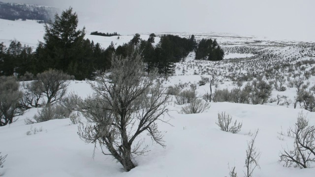 暴风雪向照相机袭来。视频素材