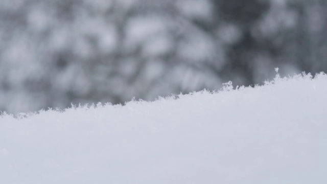 雪花飘落，在镜头前堆积。视频素材