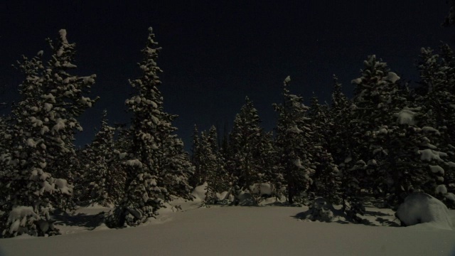 车灯周期性地照亮被雪覆盖的树木。视频素材