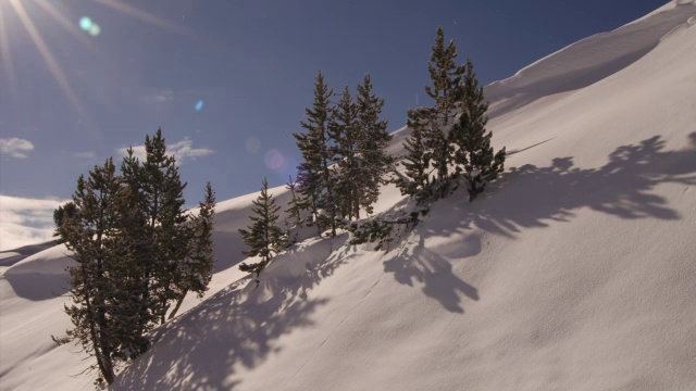 当太阳掠过树木时，阴影在白雪覆盖的山坡上移动。视频素材