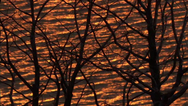 夕阳映照在湖面上，美国黄石公园视频素材