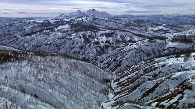 美国黄石国家公园，冬季在白雪覆盖的山丘上空的空中轨道视频素材