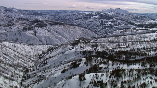 美国黄石国家公园，冬季在白雪覆盖的山丘上空的空中轨道视频素材