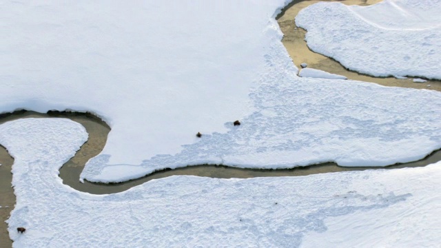 美国黄石公园河边，空中拍摄在雪地上吃草的野牛视频素材