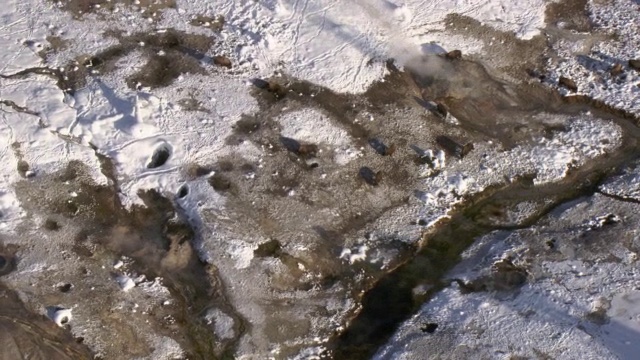 美国黄石公园，冬季空中追踪野牛(野牛)和温泉视频素材