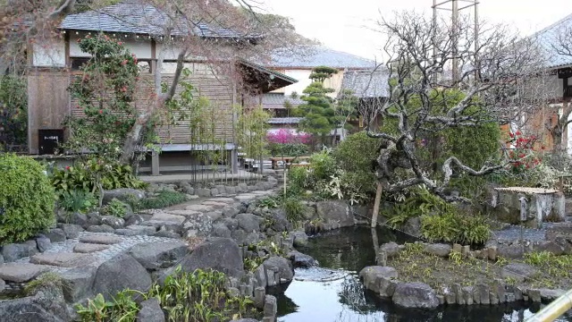 日本镰仓，整洁的日本花园，有各种各样的开花树木和灌木视频素材