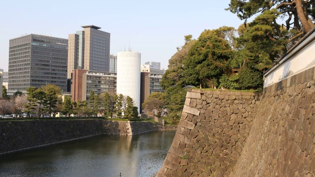 巨大的石墙和充满水的护城河，现代城市樱花盛开的另一边，日本东京视频素材