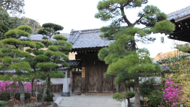 日本镰仓，整洁的日本花园中的小木制神社视频素材