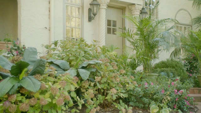 拉后的上层住宅和植物在花园里。视频素材