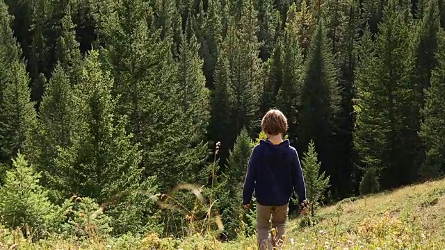 小男孩从陡峭的山坡上跑下来，奔向森林覆盖的山脊视频素材