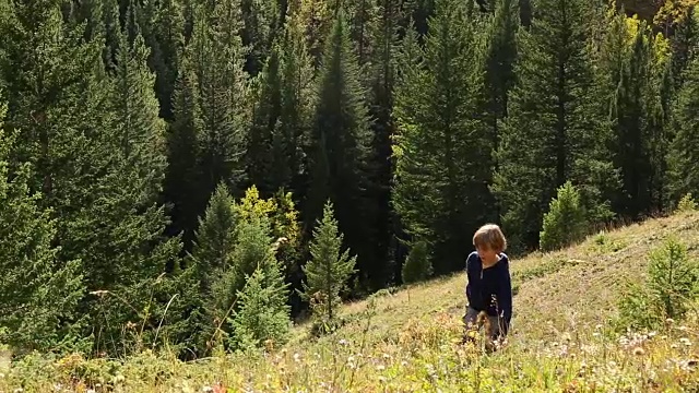 小男孩从森林密布的山脊爬上陡峭的山坡视频素材