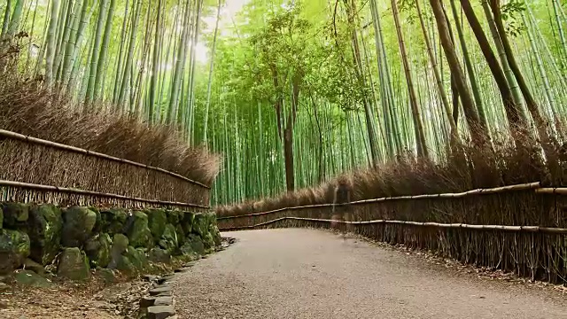 高清延时:旅行者在岚山竹径京都，日本。视频素材