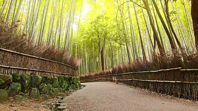 高清延时:旅行者在岚山竹径京都，日本。视频下载