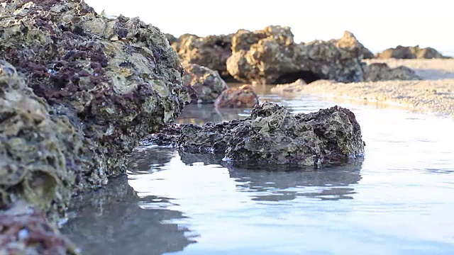 高清摄影:泰国岩石海岸线的海滩。视频素材