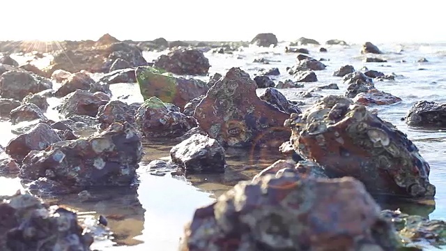 高清摄影:泰国岩石海岸线的海滩。视频素材