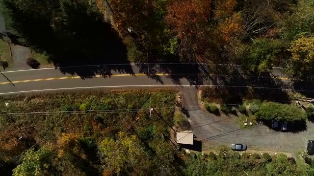 鸟瞰被秋叶包围的道路视频素材