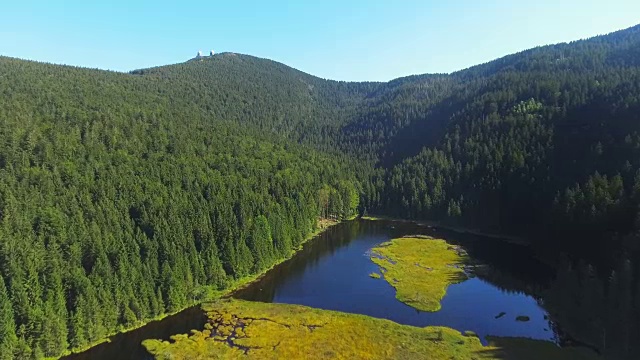 Kleiner Arbersee湖和它的浮动岛屿视频素材