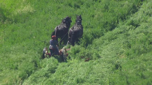 美国爱荷华州，农夫在犁地视频素材