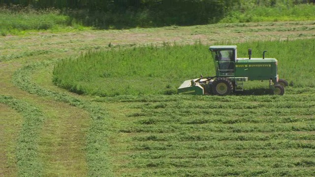 美国爱荷华州门罗县，WS TS航空POV拖拉机在农田收割草视频素材