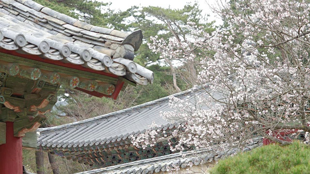 Bulguksa Temple(联合国教科文组织世界遗产)视频素材