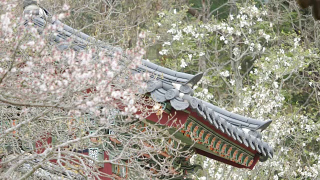 Bulguksa Temple(联合国教科文组织世界遗产)视频素材