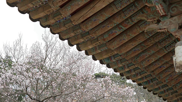 Bulguksa Temple(联合国教科文组织世界遗产)视频素材