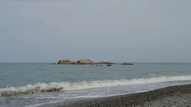 海鸥在蒙母大墓周围飞翔视频素材