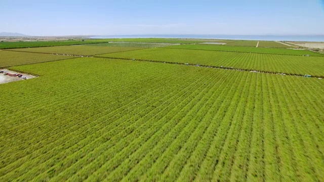 WS TU AERIAL POV沙漠山谷和农田，在背景/美国加州与索尔顿海北岸接壤的道路视频素材