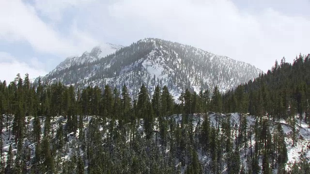 WS AERIAL POV在北内华达山脉有松树的雪峰山脊线，雪峰在背景/加利福尼亚，美国视频素材