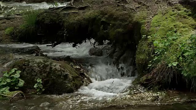 山间长满苔藓的河岸下流淌的小溪。视频素材