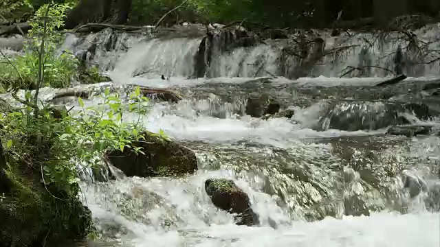 山河流过树枝和绿叶。视频素材