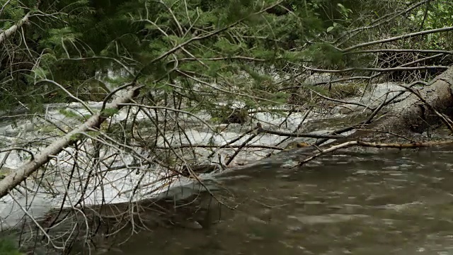 山河流过倒下的树木。视频素材